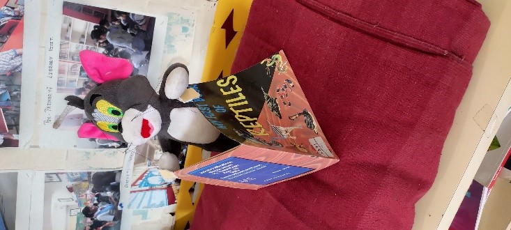 Hosting the Investiture Ceremony 